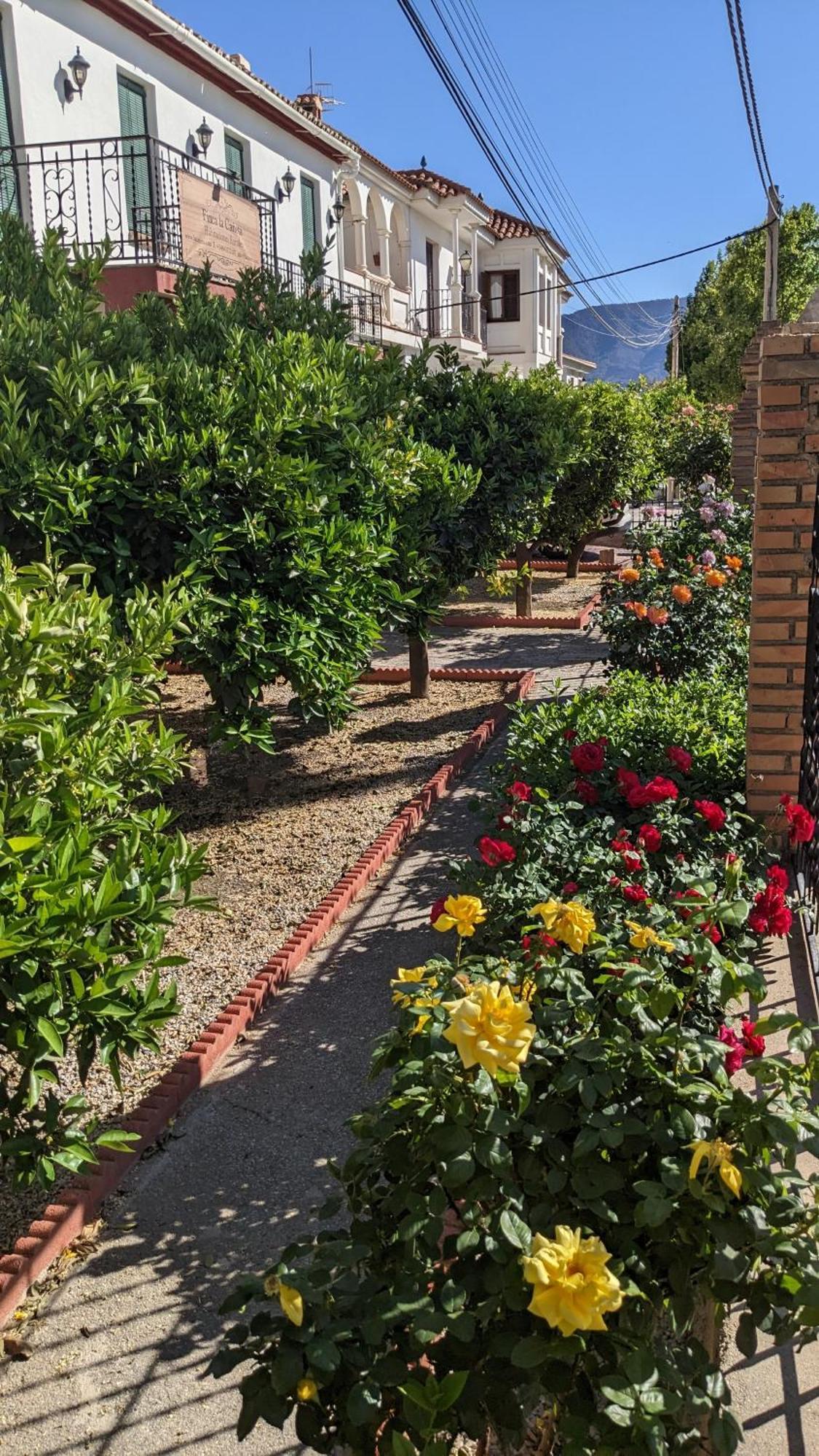 La Canota 2-Floors King Rooms Adults Only Talara المظهر الخارجي الصورة