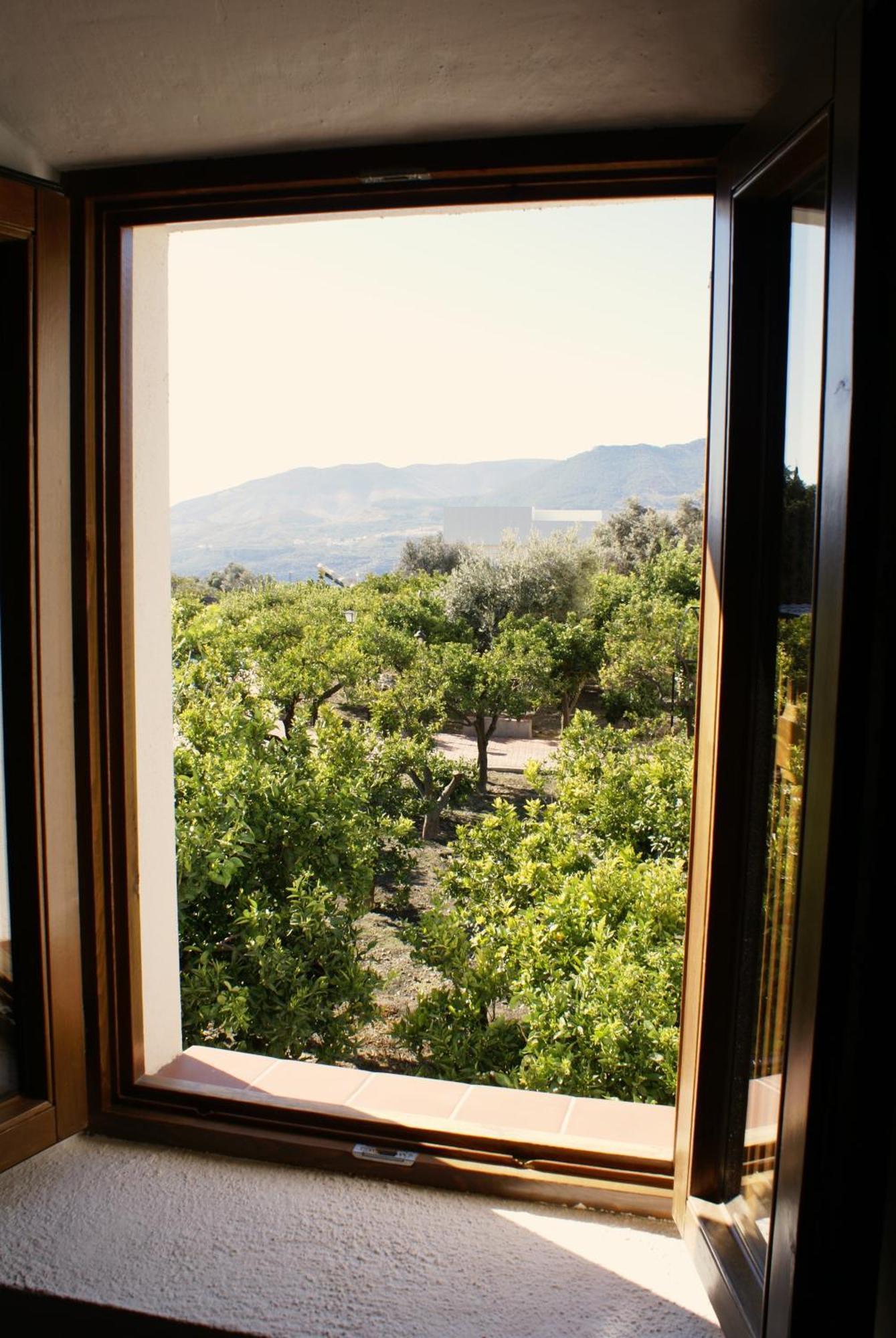 La Canota 2-Floors King Rooms Adults Only Talara الغرفة الصورة